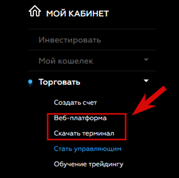 capex24 - терминал